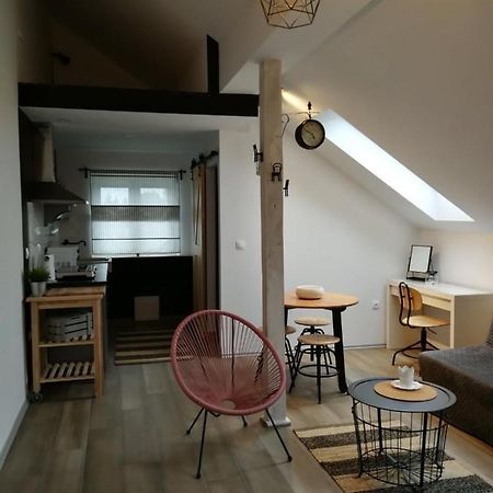 Studio Apartman Hana Apartment Dreznik Grad Exterior photo