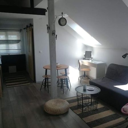 Studio Apartman Hana Apartment Dreznik Grad Exterior photo