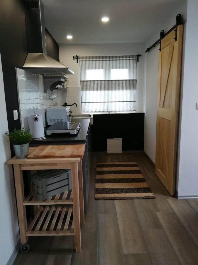Studio Apartman Hana Apartment Dreznik Grad Exterior photo