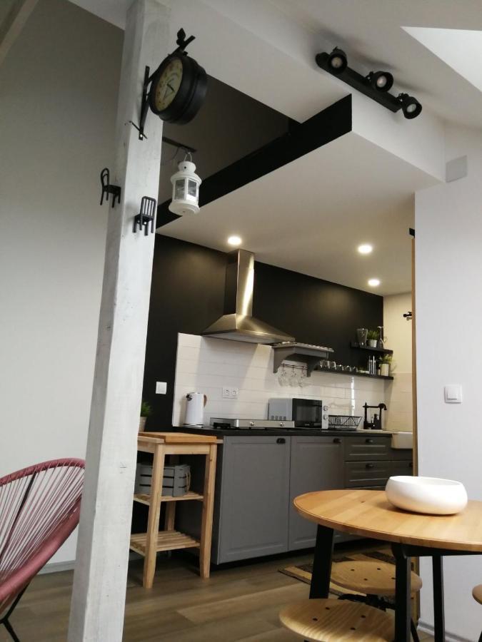 Studio Apartman Hana Apartment Dreznik Grad Exterior photo