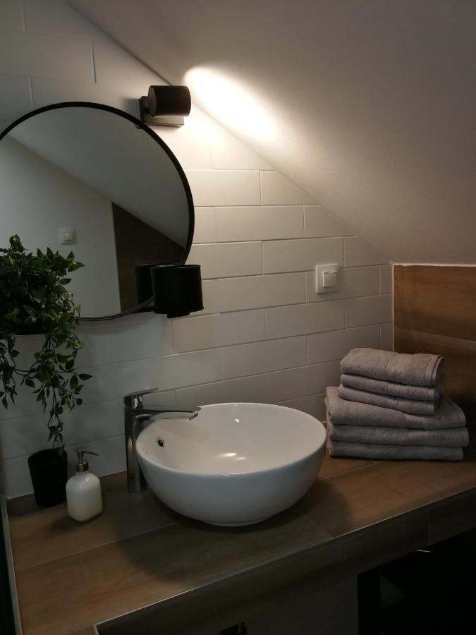 Studio Apartman Hana Apartment Dreznik Grad Exterior photo
